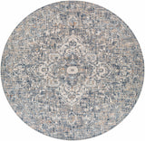 Buguey Blue & Gray Area Rug - Clearance