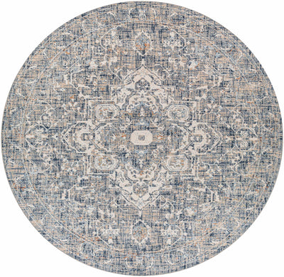 Buguey Blue & Gray Area Rug - Clearance