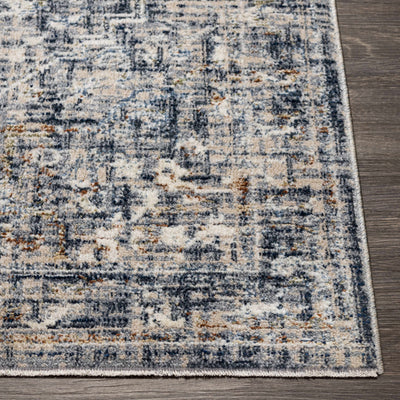 Buguey Blue & Gray Area Rug - Clearance