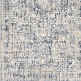 Buguey Blue & Gray Area Rug - Clearance