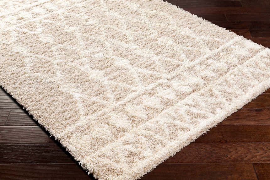Close-up of the light peach Maso Shag Area Rug showing its plush texture and subtle geometric pattern on dark wood floors. Corner