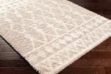 Maso Shag Area Rug - Clearance