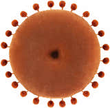 Matanog Rust Round Throw Pillow - Clearance