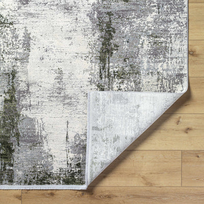 Magni Area Rug