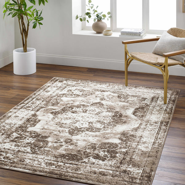 Naara Brown Distressed Area Rug