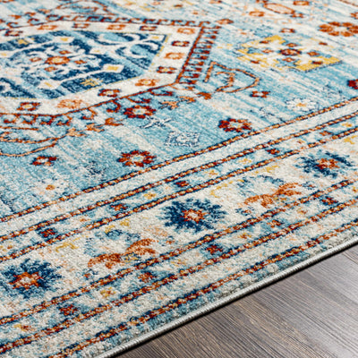 Alpaco Blue Area Rug - Clearance