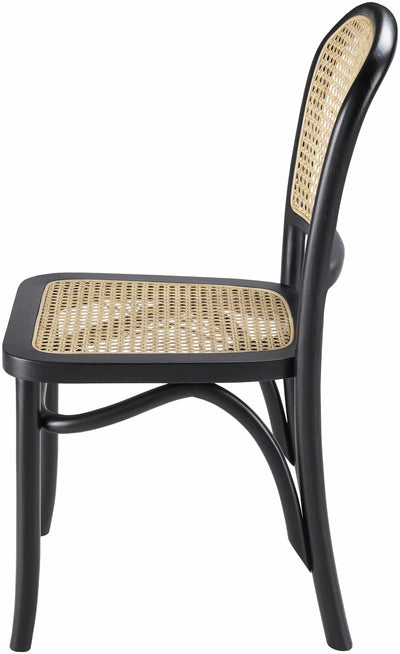 Namiquipa Dining Chair