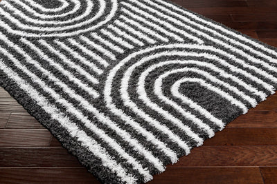 Noah Shag Area Rug