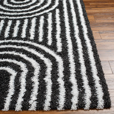 Noah Shag Area Rug