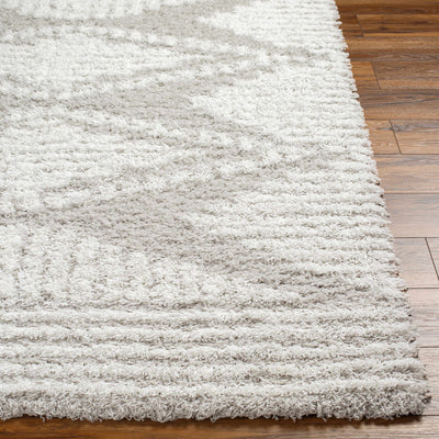 Nobu Shag Area Rug