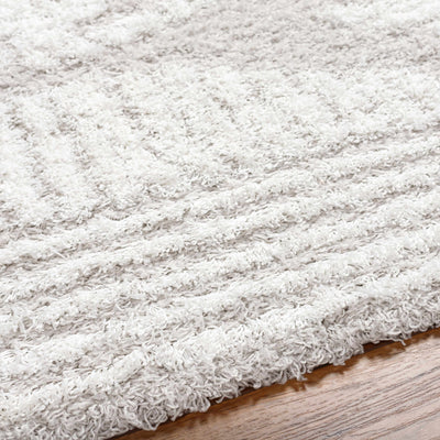 Nobu Shag Area Rug