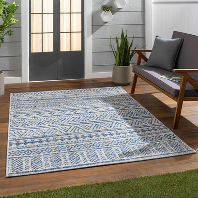 Novato All Over Pattern Performance Rug