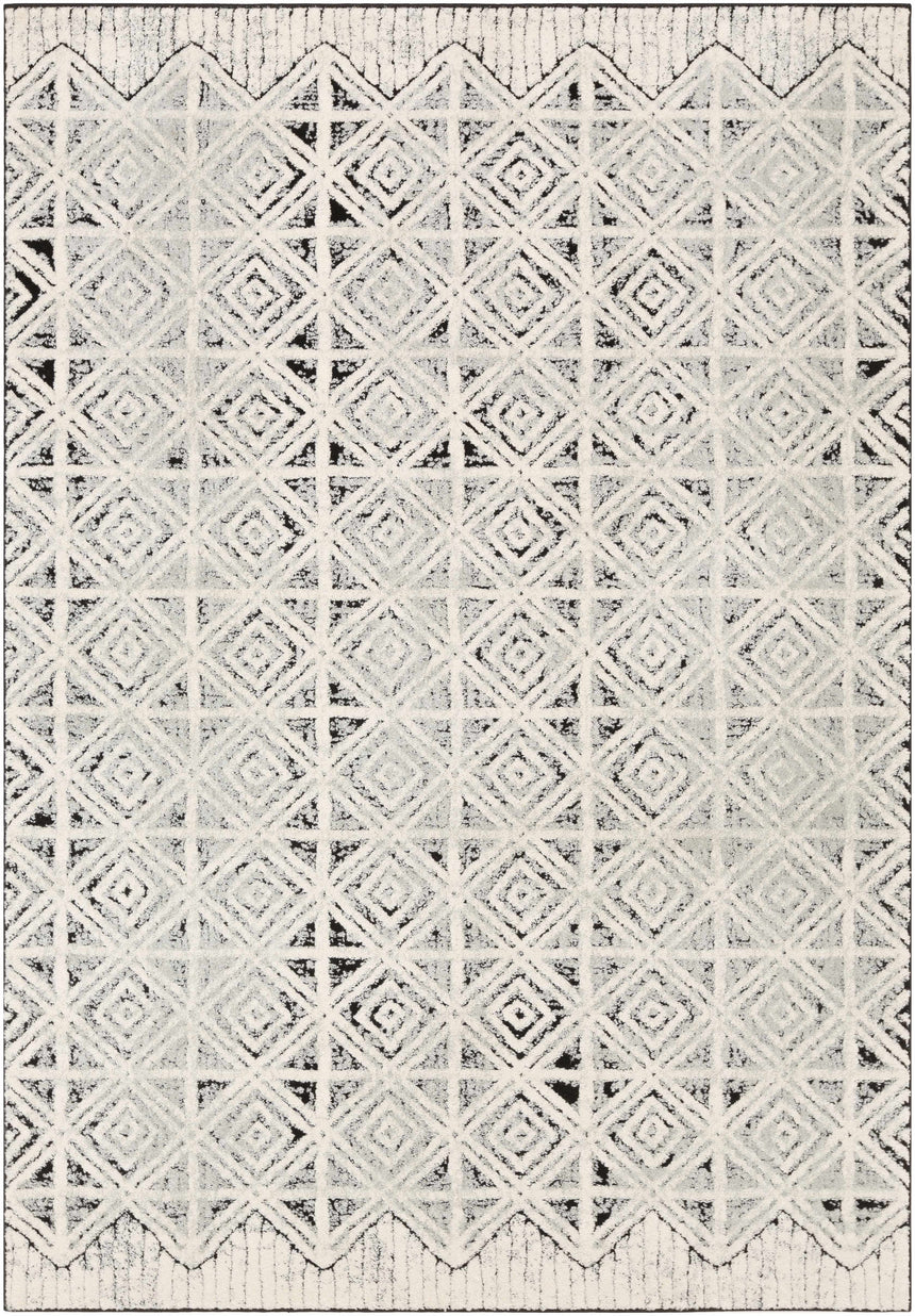 Noxen Area Rug - Clearance