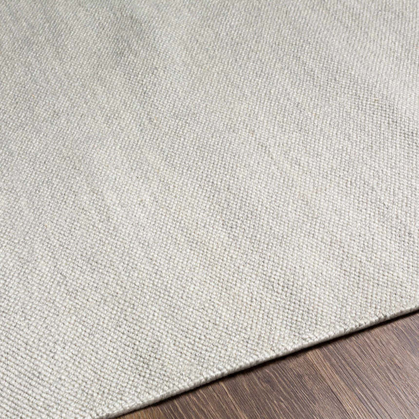Close-up of the light gray Northop Indoor & Outdoor Area Rug showing its hand-woven texture and recycled PET yarn material. Texture