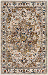 Anas Traditional Style Rug - Clearance