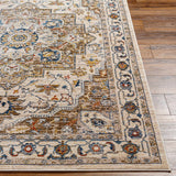 Anas Traditional Style Rug - Clearance