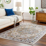 Anas Traditional Style Rug - Clearance