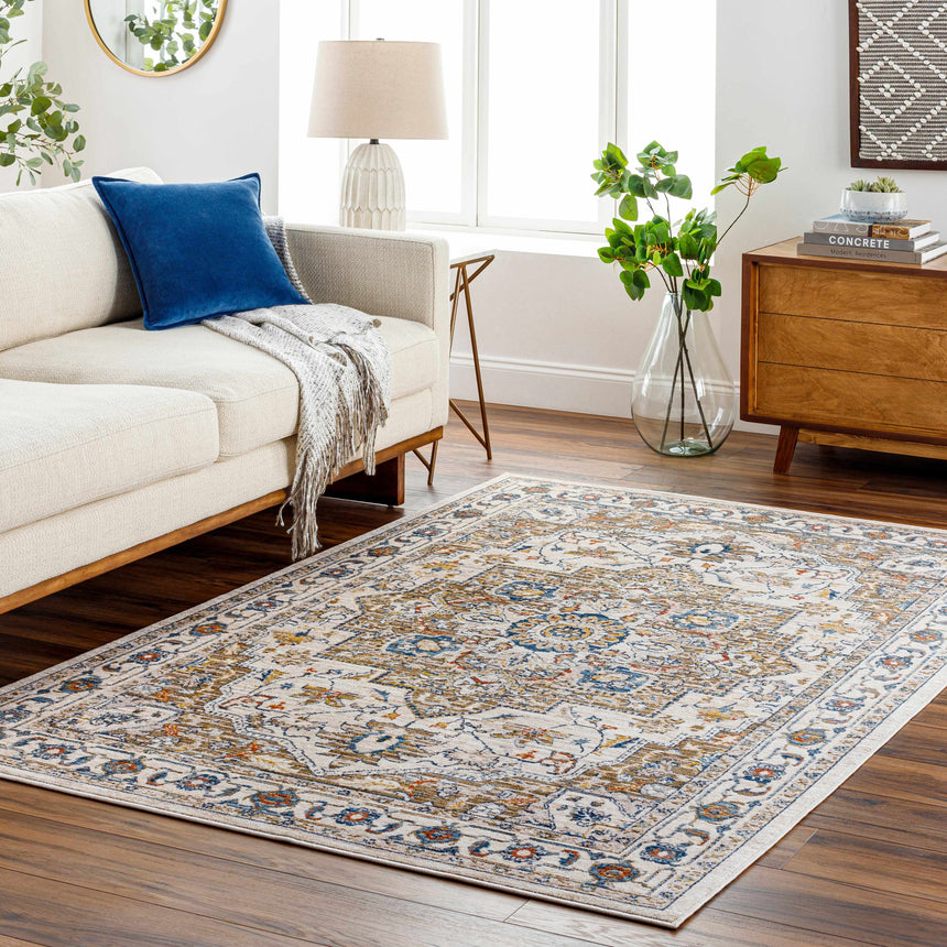 Anas Traditional Style Rug - Clearance