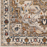 Anas Traditional Style Rug - Clearance