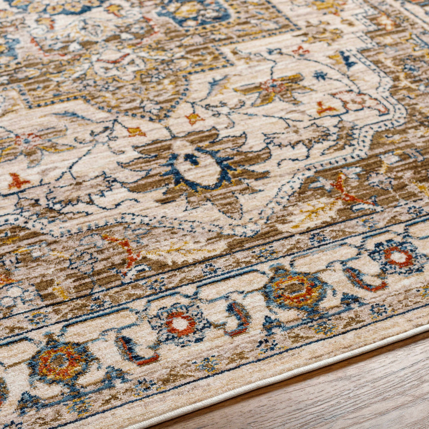 Anas Traditional Style Rug - Clearance