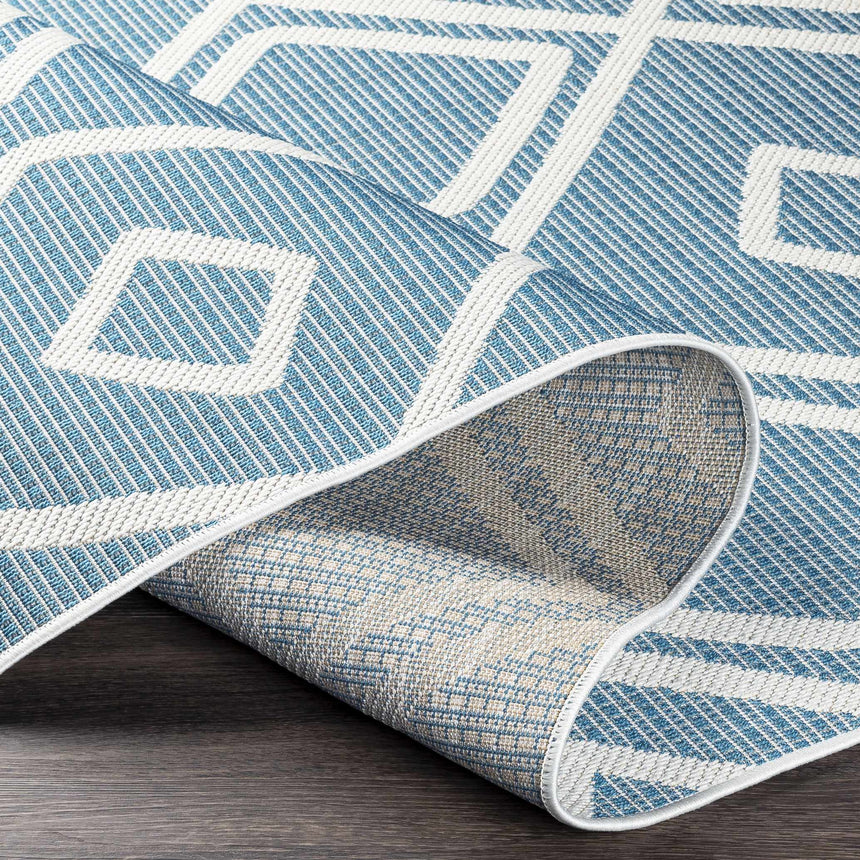 Anson Area Rug - Clearance