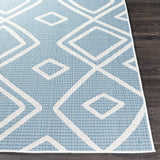 Anson Area Rug - Clearance