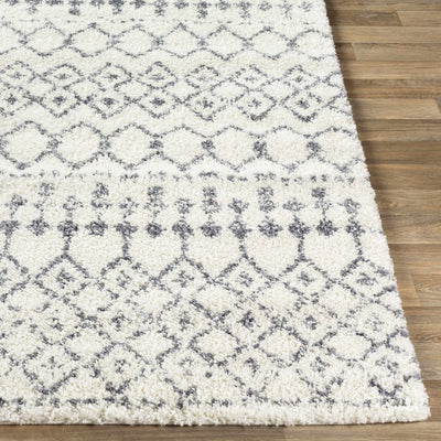 Navassa White/Gray Trellis Plush Rug