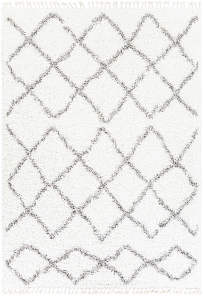Close-up of the Ogallah Area Rug: a shag rug with a gray diamond pattern and white tassels. Bohemian style. Design-Rectangle-679