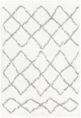 Ogallah Area Rug - Clearance