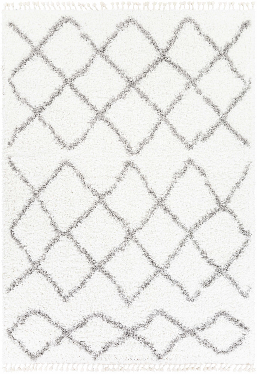 Ogallah Area Rug - Clearance