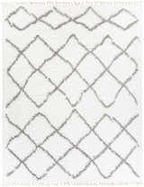 Close-up of the Ogallah Area Rug: a shag rug with a gray diamond pattern and tassels. Bohemian style. Design-Rectangle-71010