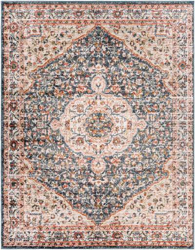 Okiot Traditional Area Rug - Clearance