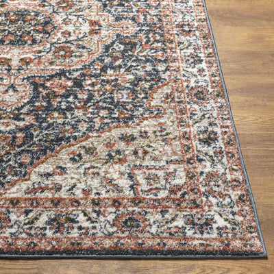 Okiot Traditional Area Rug - Clearance