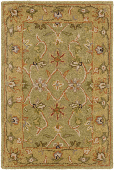 Olar Area Rug - Clearance