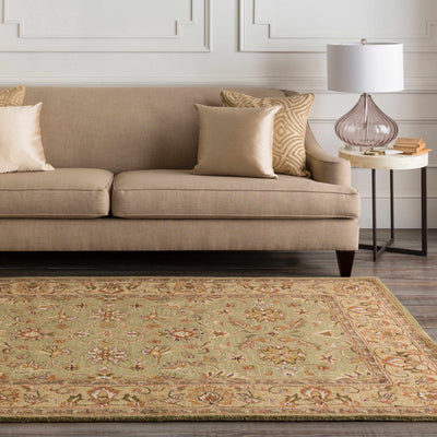 Olar Area Rug - Clearance