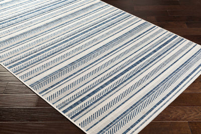 Olin White&Blue Performance Rug