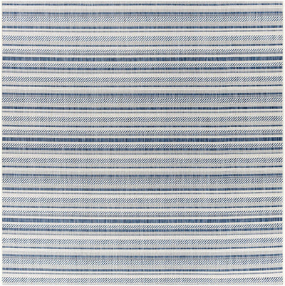 Olin White&Blue Performance Rug