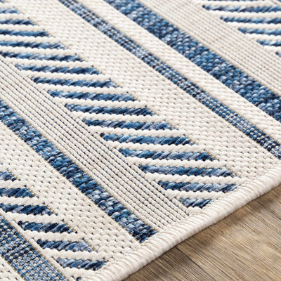 Olin White&Blue Performance Rug