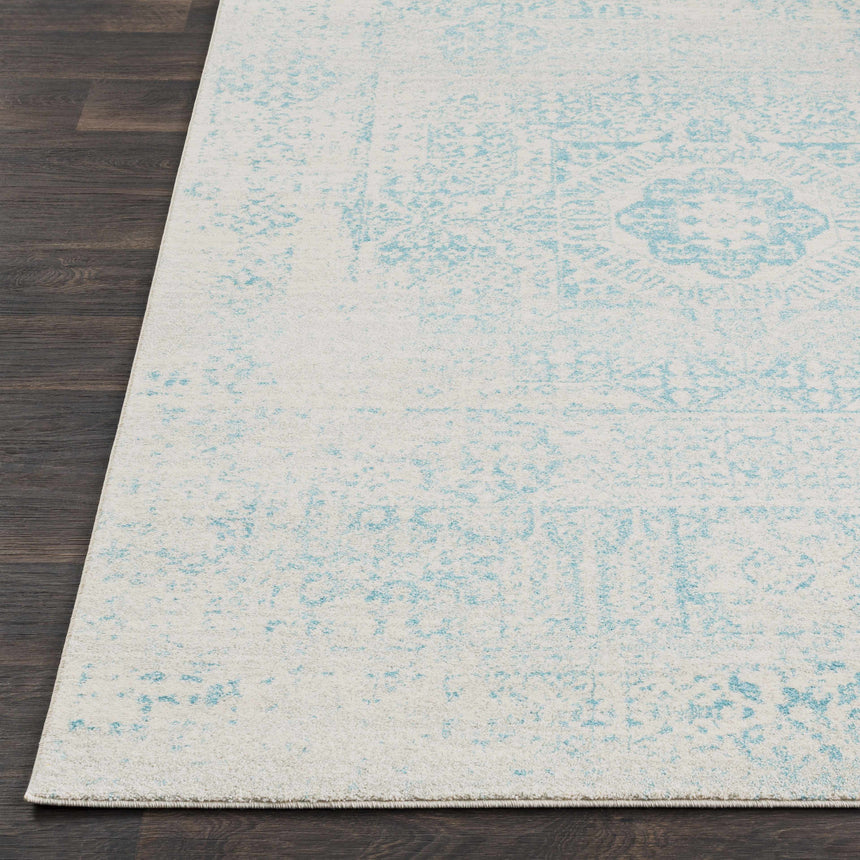 Omega Area Rug - Clearance