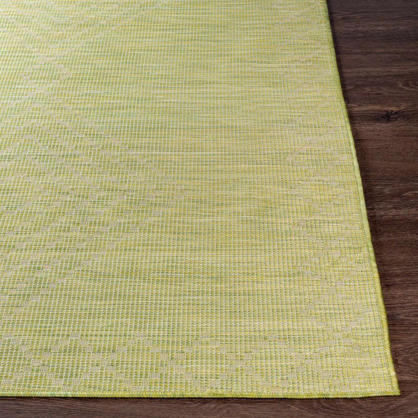 Oolitic Area Rug - Clearance