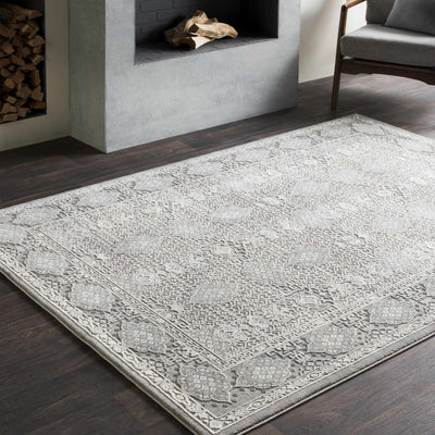 Ordway Textured Gray Area Rug - Clearance