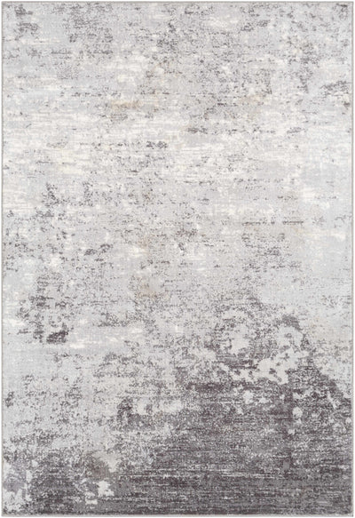 Ortonville Abstract Gray Rug