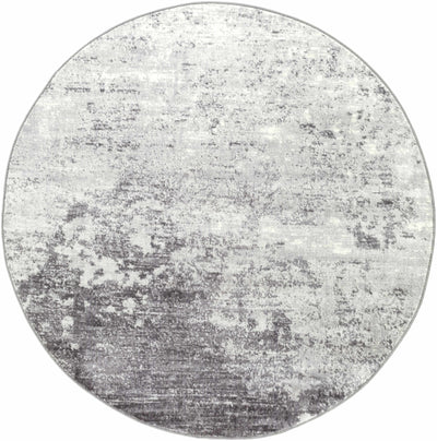 Ortonville Abstract Gray Rug