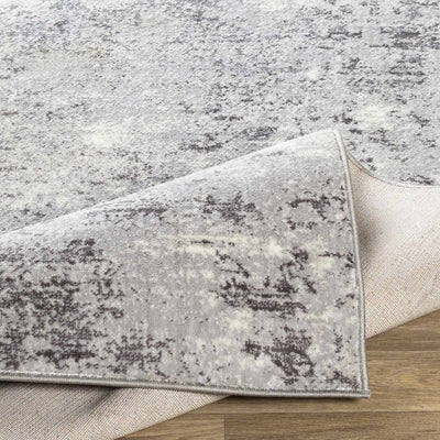 Ortonville Abstract Gray Rug