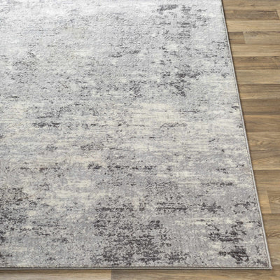 Ortonville Abstract Gray Rug