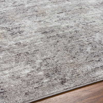 Ortonville Abstract Gray Rug