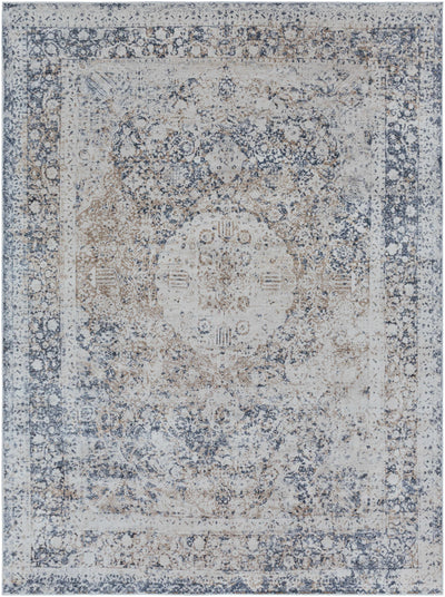 Ozona Area Rug - Clearance