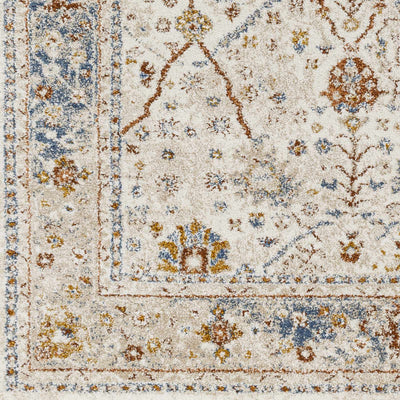 Paatan Blue Oushaq Area Rug