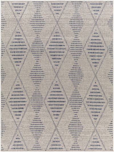 Pagatin Indoor & Outdoor Rug - Clearance