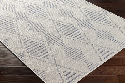 Pagatin Indoor & Outdoor Rug - Clearance